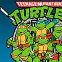 Sean Astin, Greg Cipes, Rob Paulsen   Teenage Mutant Ninja Turtles is an animated television series produced by Murakami-Wolf-Swenson and the French company IDDH.