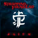 Alien on Random Best Devin Townsend and Strapping Young Lad Albums