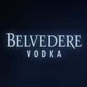 Belvedere on Random Best Vodka Brands