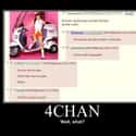 4chan on Random Best Websites to Waste Your Time On