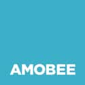 Amobee on Random Best Companies To Work For By Beach in Southern California