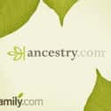 Ancestry.com on Random Best Ancestry Websites