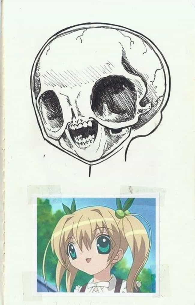 Anime Anatomy