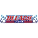 BleachAnime.org on Random Best Anime Fan Communities