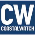 Coastalwatch on Random Best Surf Gear Websites