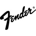 Fender World on Random Musical Instrument Websites