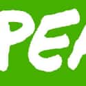 Greenpeace International on Random Best Green Online Communities