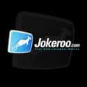 Jokeroo.com on Random Funny Video Blogs
