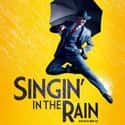Nacio Herb Brown, Arthur Freed, Betty Comden Adolph Green   Singin' in the Rain is a musical with a book by Betty Comden and Adolph Green, lyrics by Arthur Freed, and music by Nacio Herb Brown.