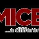 MiceChat on Random Top Disney Social Networks