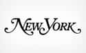 New York Media on Random Best New York Blogs