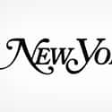 New York Media on Random Best New York Blogs