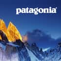 Patagonia on Random Online Activewear Shops