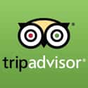 TripAdvisor on Random Best Travel Apps