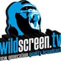 wildscreen.tv on Random Free Video Sharing Websites Ranked Best To Worst