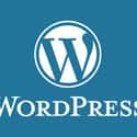 WordPress.com on Random Blogging Communities and Social Networks