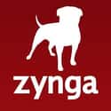 Zynga on Random Coolest Employers in Tech