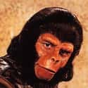 Planet of the Apes on Randm Best 1970s Sci-Fi Shows