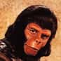 Roddy McDowall, Ron Harper, James Naughton   Planet of the Apes is an American science fiction television series that aired on CBS in 1974. The series stars Roddy McDowall, Ron Harper, James Naughton, Mark Lenard and Booth Colman.