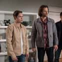 Supernatural on Random Long-Running TV Series That People Need To Stop Watching