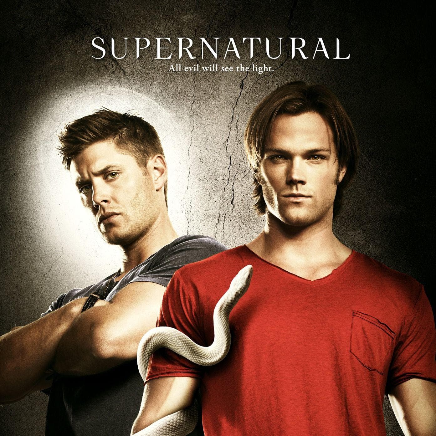 Random Greatest Supernatural Shows