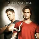 Supernatural on Random Best TV Shows To Binge Watch