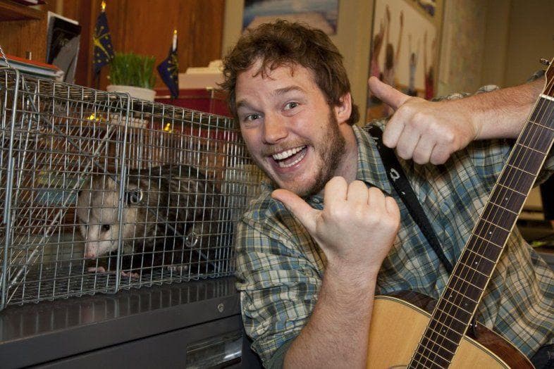 Andy Dwyer