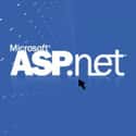 ASP.NET MVC Framework on Random Best Programming Language to Learn