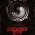 A Serbian Film on Random Best Movies You Never Want to Watch Again
