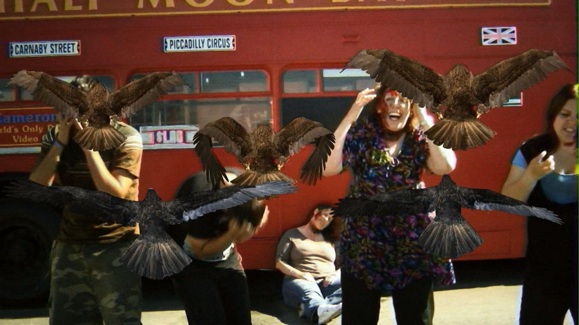The 20 Best Horror Movies About Birds, Ranked By Fans