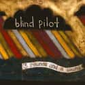 Blind Pilot on Random Best Indie Duos