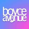Boyce Avenue on Random Best YouTube Cover Artists