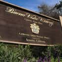 Buena Vista Winery on Random Best Wineries in Sonoma Valley