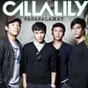 Callalily on Random Best Original Pilipino Music Bands/Artists