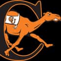 Campbell Fighting Camels on Random Best Big South Basketball Teams