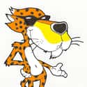 Chester Cheetah on Random Most Memorable Advertising Mascots