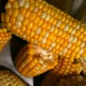 Corn on the cob on Random Best Foods to Throw on BBQ