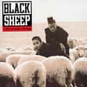 A Wolf in Sheep’s Clothing, 8WM/Novakane, Strobelite Honey   Black Sheep is a hip hop duo from Queens, New York, composed of Andres "Dres" Titus and William "Mista Lawnge" McLean.