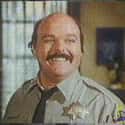 Deputy Perkins on Random Greatest Cops on TV Sitcoms