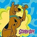 The Scooby-Doo Show on Random Best Kids Cartoons