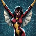 Spider-Woman (Mattie Franklin) on Random Best Comic Book Superheroes