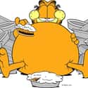 Garfield on Random Best Fat Cartoon Characters on TV