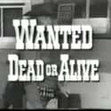 Wanted: Dead or Alive on Random Best Western TV Shows