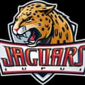 IUPUI Jaguars men's basketball on Random Best Horizon League Basketball Teams