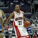 Jason Gardner on Random Greatest Arizona Basketball Players