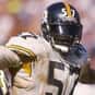 Jerrol Williams is listed (or ranked) 46 on the list The Best Pittsburgh Steelers Linebackers of All Time