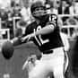 Larry Rakestraw is listed (or ranked) 21 on the list The Best Georgia Bulldogs Quarterbacks of All Time
