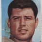 Mac Haik is listed (or ranked) 36 on the list The Best Tennessee Titans Wide Receivers of All Time