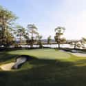 May River Golf Course at Palmetto Bluff on Random Best Golf Destinations in the World