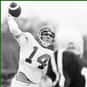 Mike Kirkland is listed (or ranked) 25 on the list The Best Arkansas Razorbacks Quarterbacks Of All Time